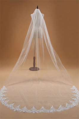 Floral Elegant Tulle  Lace Applique Edge Wedding Veil with Comb_3