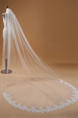 Floral Elegant Tulle  Lace Applique Edge Wedding Veil with Comb_4