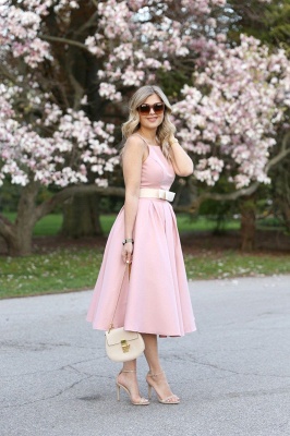 Light Pink Halter Sleeveless Summer Homecoming Dress with Belt_3