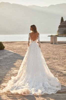 Elegant Floral Lace Aline Wedding Dress with Long Sleeves Backless Bridal Dress_2