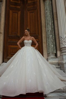 Charming Sleeveless Strapless Chapel Ball Gown Wedding Dress_1