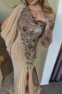 Glitter Sequins One Shoulder Tulle Appliques Lace Mermaid Evening Dresses_4