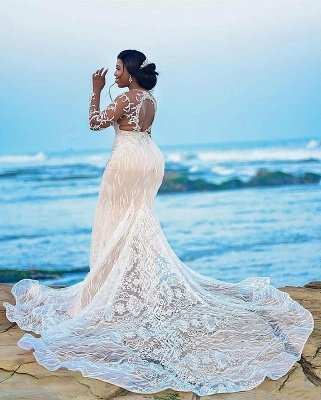 يزين الدانتيل فستان الزفاف حورية البحر | كم طويل بالاضافة الى حجم فساتين الزفاف_2